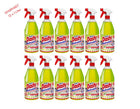 Dasty-Fettlo-ser-12er-Set-2