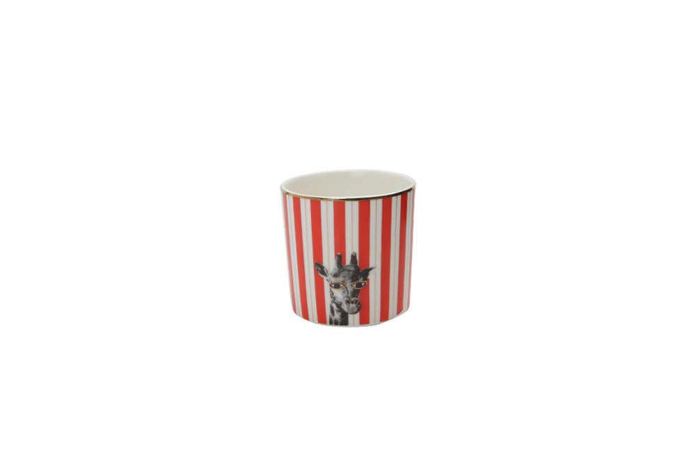 04ALM005250-a WILD LIFE Giraffe Design Kaffeebecher 230 ml Porland